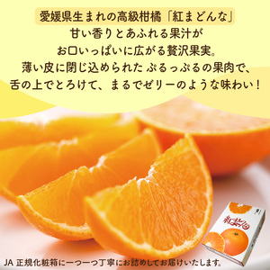 【2026年12月上旬頃から順次発送】 紅まどんな・石地みかん食べ比べセット 【紅まどんな 約3kg】【石地みかん(家庭用・優品) 約5kg】 | 柑橘食べ比べ みかん オレンジ 紅マドンナ 愛果 ミカン mikan 柑橘 かんきつ あいか フルーツ たべくらべ 新鮮 柑橘 ふるーつ 果物 くだもの 期間限定 愛媛県 松山市 ココオ Koko'o【KK334】