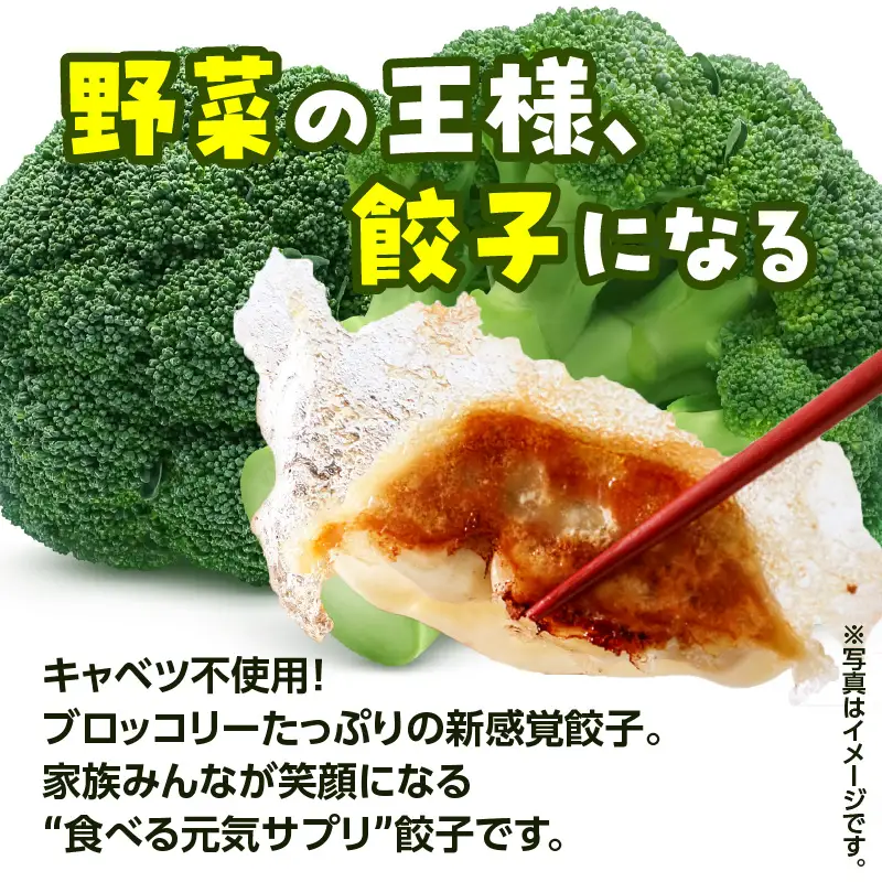 げんき モリモリ 生餃子 72個 K027-010_01 肉 豚肉 惣菜 総菜 冷凍