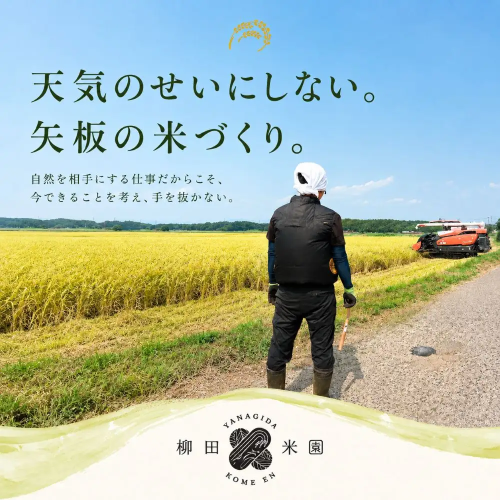 【令和８年産 新米】矢板市特別栽培米 お米 訳あり こしひかり 玄米 5kg |栃木県 矢板市