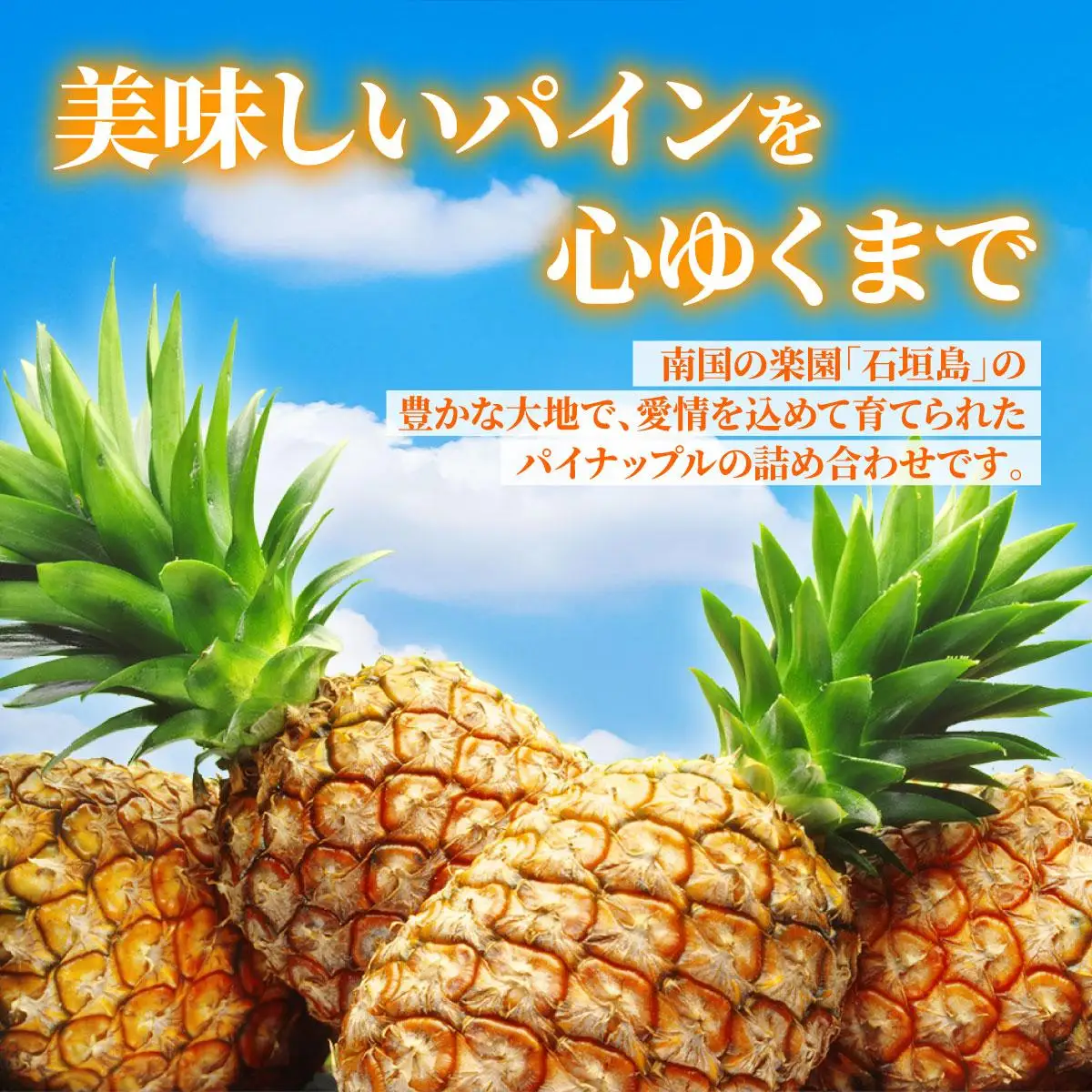 【先行予約】【訳あり】 石垣さんちのおすすめパイン詰め合わせ 8～10玉  (約5kg)《2027年5月上旬頃から順次発送》 TP-21