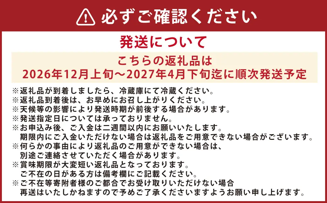 ＜ R8年熊本地震復興支援 ＞絢音ベリー農園 絢 いちご ゆうべに 500g （250g× 2パック） 熊本県産 フルーツ ギフト 厳選 イチゴ 苺 果物 【2026年12月上旬～2027年4月下旬迄順次発送予定】