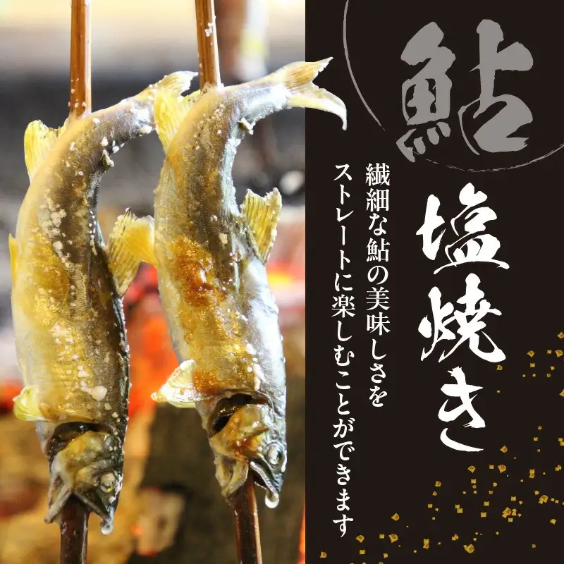 【2026年5月以降発送】延岡どれ鮎（冷凍）1.5kg N017-YA6615