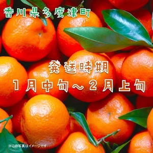 『越冬小原紅早生みかん』約3kg【予約受付中！令和9年1月中旬より発送！】【B-33】 