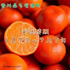 『小原紅早生ハウスみかん』約2kg【予約受付中！令和9年6月下旬より発送！】【B-26】