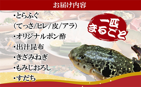 とらふぐ セット “生”でお届け 『活とらふぐ 宅配セット』 ２～３名様分 とらふぐ てっさ 活〆 高級魚 ひれ酒 特別な日 お祝い 贈り物 ハレの日 トラフグ ふぐ フグ 食彩南風 三重県 尾鷲市 返礼品 MKZ-1
