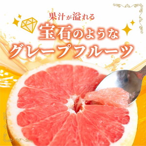 国産グレープフルーツ 家庭用7kg（15～20玉） ※2027年5月上旬～8月上旬頃に順次発送予定