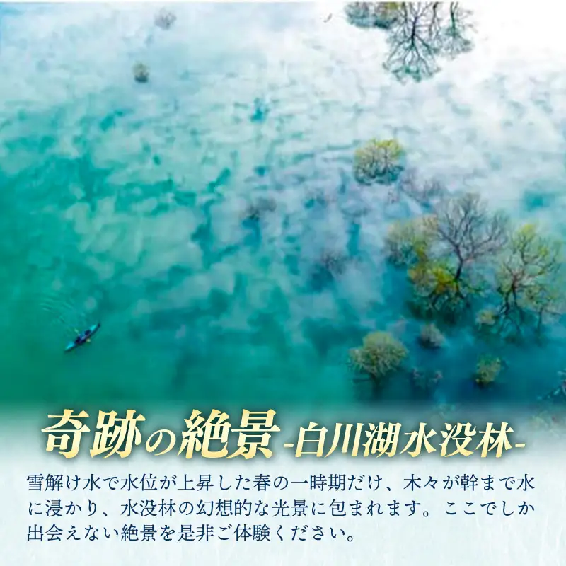 水没林カヌー［早朝プレミアム］（1名様分）- 体験 チケット 自然 カヤック 絶景 白川湖 フォトジェニック 癒し 湖 非日常 山形県 飯豊町【価格改定】