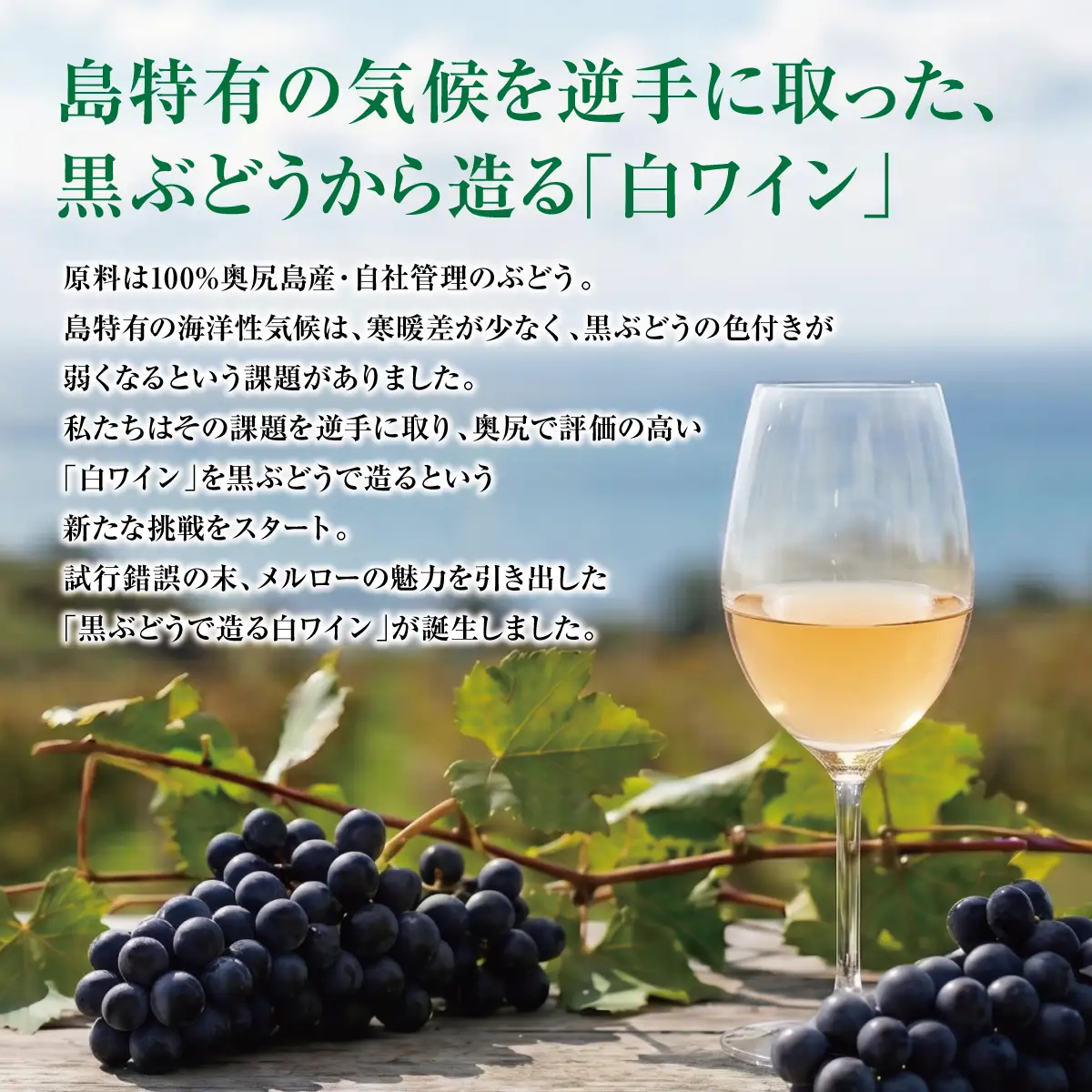 奥尻ワインメルロー（白）750ml 