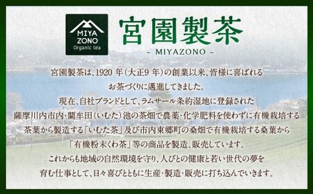 宮園製茶の有機桑茶 ティーバッグタイプ お試しセット 2袋（1袋あたり2g×10包） お茶 桑茶 ティーバッグ ZS-548
