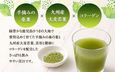 さつま桑青汁 30本×1P 飲みやすい 青汁 大麦若葉 粉末_ss1641_CR