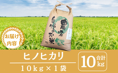 ヒノヒカリ 10kg 米 お米 京都丹波産 ヒノヒカリ