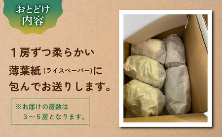 【先行受付2026年発送】農家直送！クイーンルージュ（R）約2kg(3～5房）※2026年9月下旬～10月上旬順次発送【土屋農園】