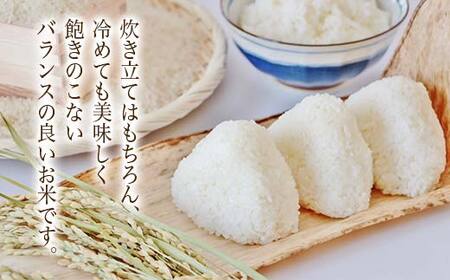 【令和7年度産】 山形県産 はえぬき精米 5kg ブランド米 こめ ご飯 ごはん 白米 F4A-0980