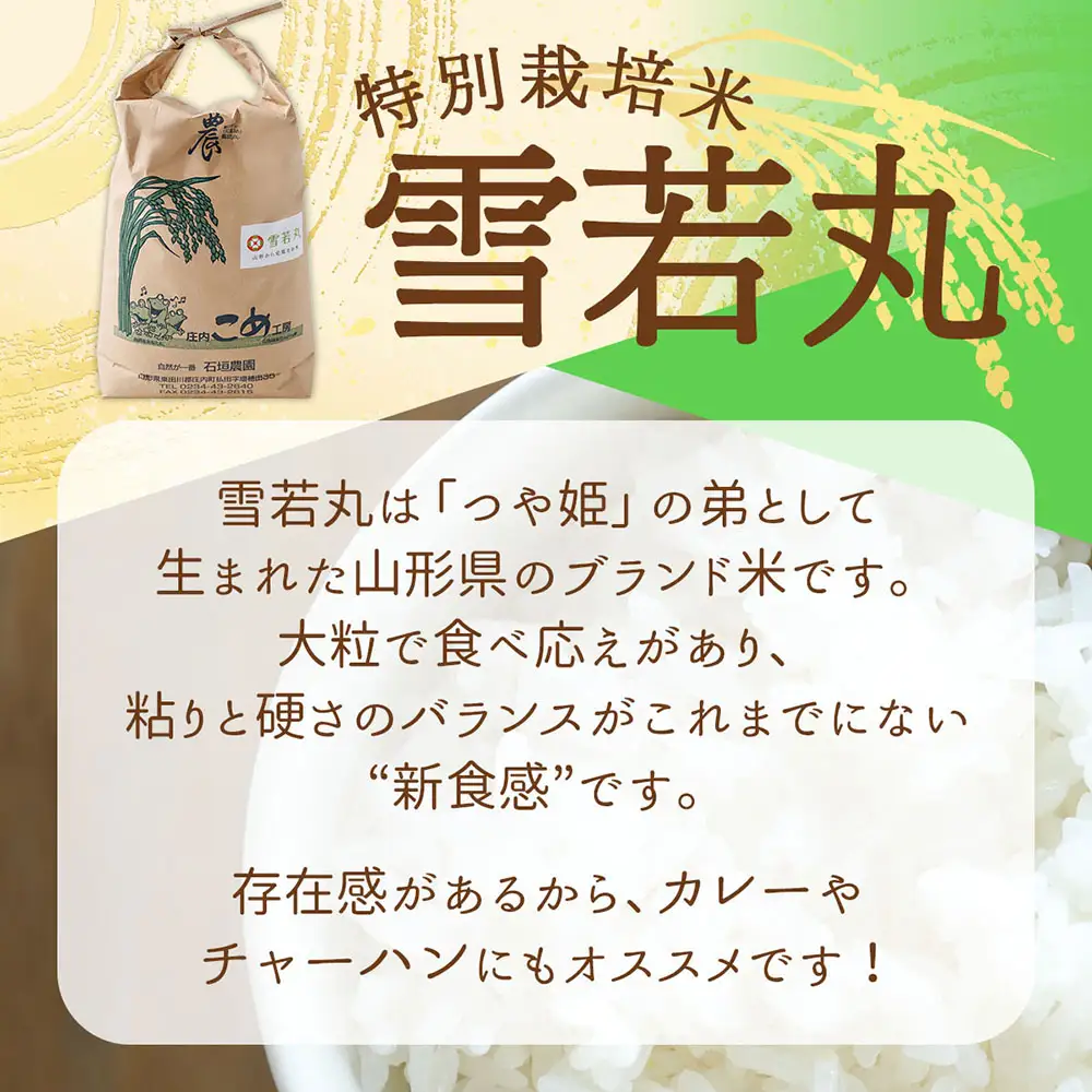 石垣農園の特別栽培米 雪若丸 10kg 5kg×2袋 令和7年産 2025年産 ブランド米 コシヒカリの原点、亀の尾発祥の地 庄内【1122-034I】