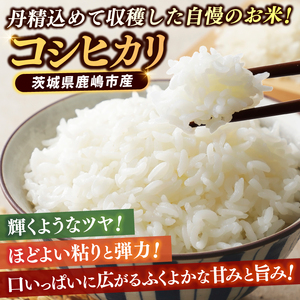 【3ヶ月定期便】★新米 令和7年★ 米 精米 白米 10kg（5kg×2袋）【総計 30kg】「こしひかり」先行予約 鹿嶋市産【令和7年産 コシヒカリ お米 コメ ごはん ライス ブランド米 茨城県 鹿嶋市】(KEJ-6)
