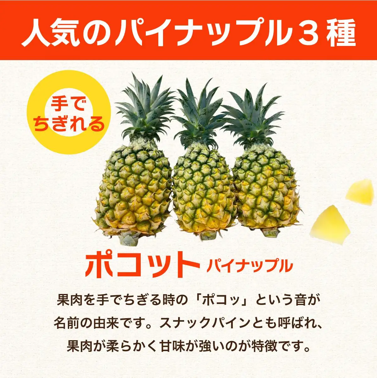 訳アリ 業務用冷凍カットパイナップル500g×3点セット PU-02