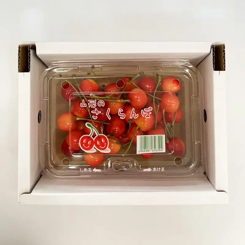 山形のさくらんぼ！食べきりサイズで大人気！佐藤錦 200g L玉 【令和9年産先行予約】FS25-060
