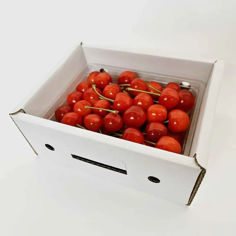 山形の旬をお届け！さくらんぼ佐藤錦！500g L玉 【令和9年産先行予約】FS25-068
