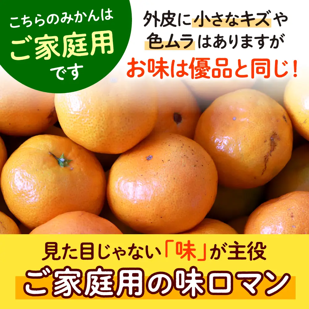 味ロマン家庭用 みかん5kg CGU001 みかん