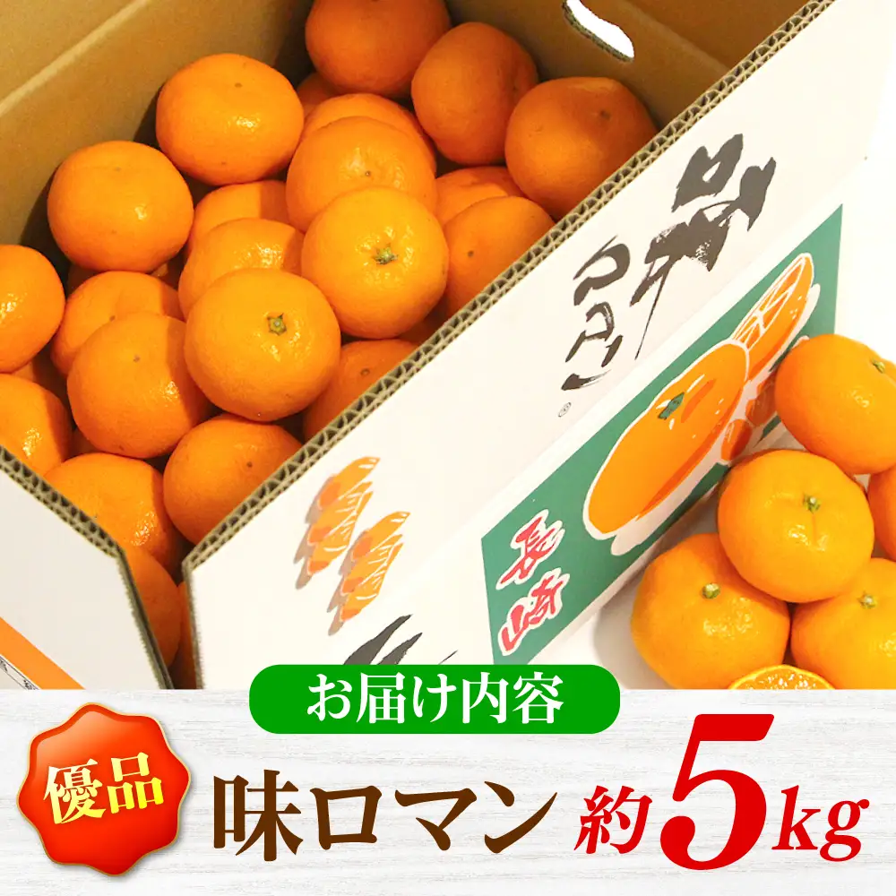 味ロマン みかん5kg CGU002 みかん