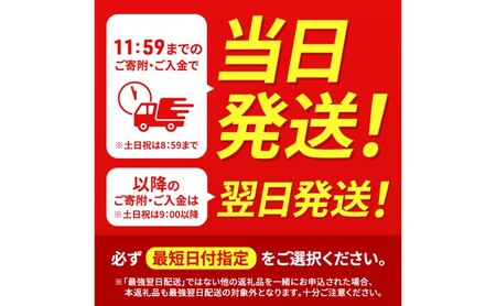 【最短3日発送】 数量限定 今だけ！ 訳アリ越後ビール350ml缶×12本 ビール お酒 酒 最短当日発送
