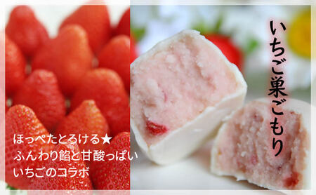 フルーツ な 巣ごもり たち 9個入 | 和菓子 お菓子 お茶請け 餡子 和風 スイーツ お土産 贈り物 長野県 飯田市 信州
