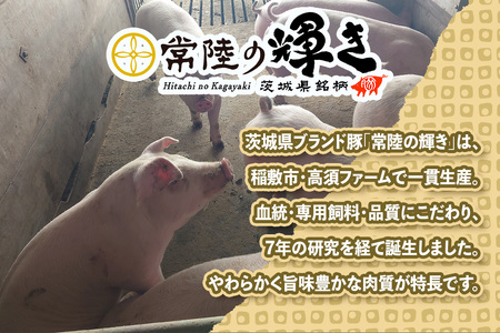 常陸の輝きロース 厚切り500g [1768]