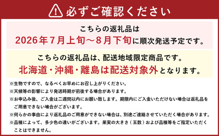 岡山白桃 ロイヤル 4～8玉 約1.2kg 岡山県産 （早生種・中生種） 【2026年7月上旬～8月下旬迄発送予定】 ／ 白桃 桃 もも 果物 果実 フルーツ 岡山県 美咲町 冷蔵