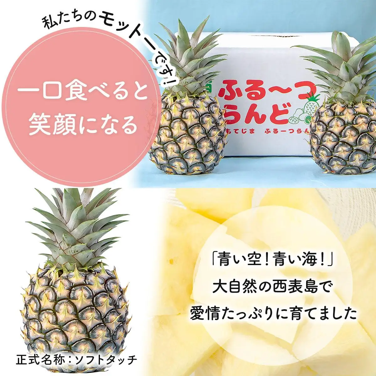 【2027年先行予約】ピーチパイン 約6kg 
