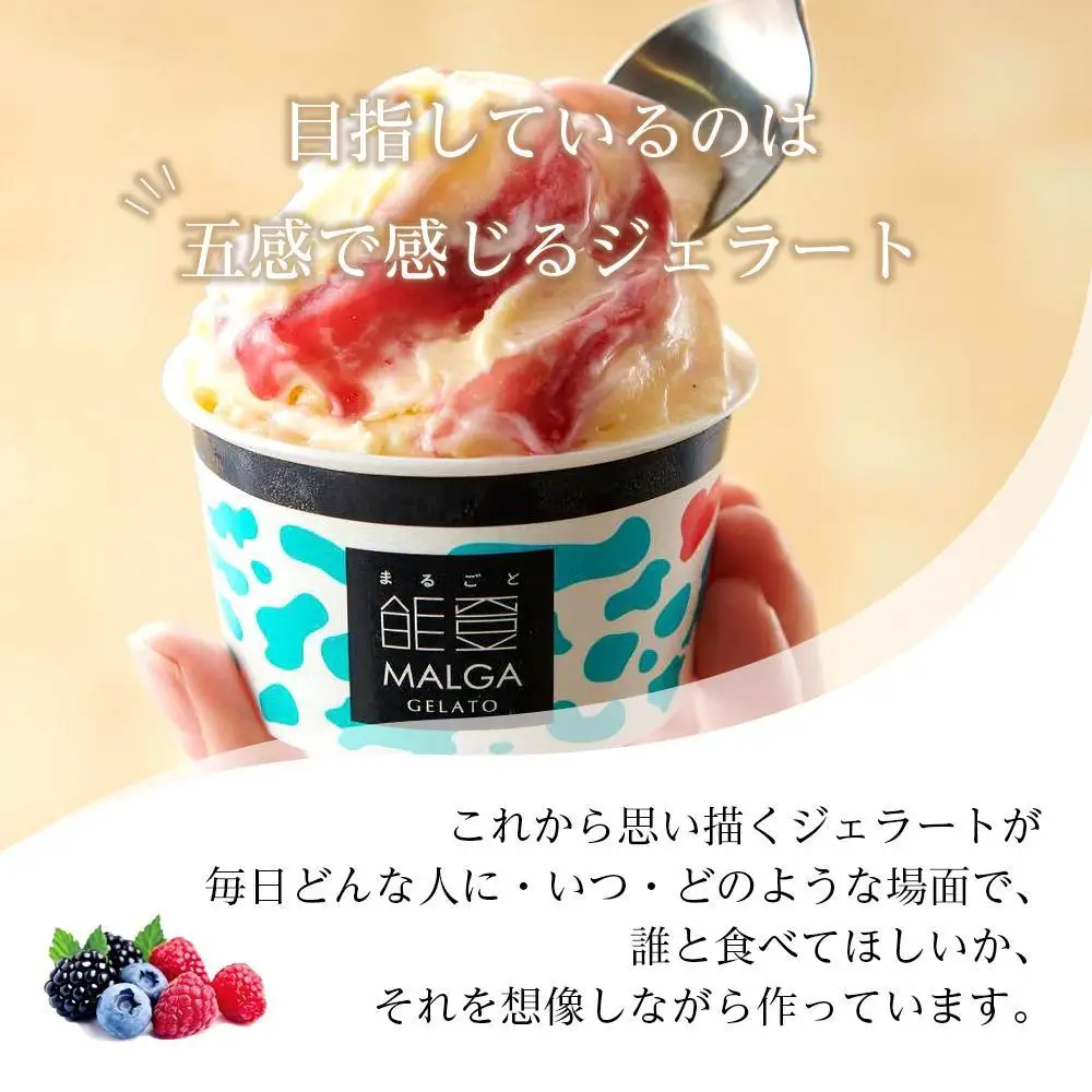 【復興支援】マルガージェラート能登セット（12個入）