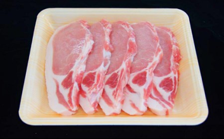 0196　新潟県胎内市産豚肉　ロースかつ用　1.5kg（100ｇ×15枚）