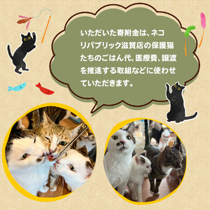 里親募集保護猫カフェの支援【お礼の品なし】 BR06