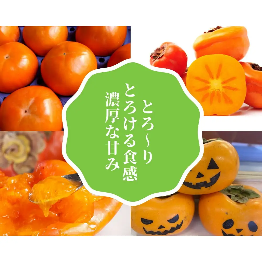 家庭用 おけさ柿 約7.5kg M（40玉）サイズ 羽茂産 食べきりサイズ | 新潟県 佐渡市 柿