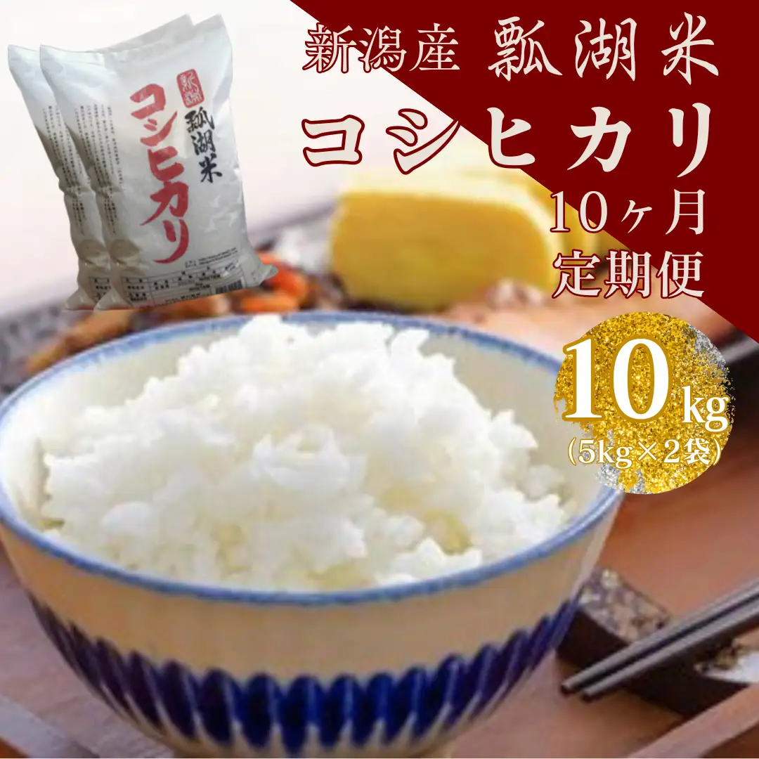 【令和7年産】【10ヶ月定期便】新潟産 コシヒカリ「瓢湖米」 10kg×10回 白米 精米 米 こめ コメ 1N14208