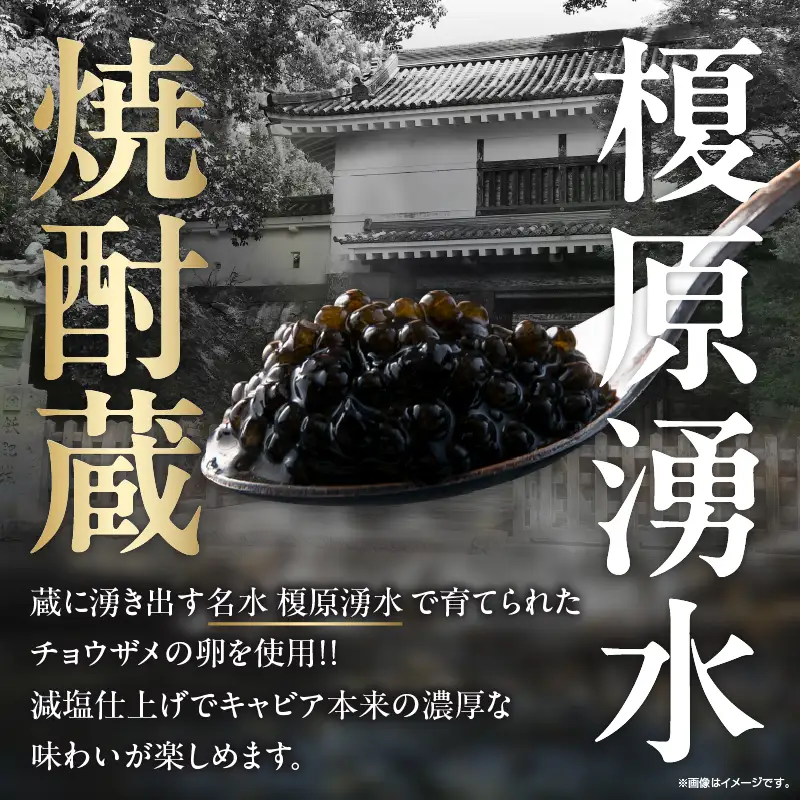 日南発 (ひなた) キャビア 計20g 魚卵 魚介 魚貝 国産 加工品 食品 新鮮 チョウザメ 世界三大珍味 希少 水産物 おつまみ おすすめ 高級 ご褒美 パーティー 前菜 オードブル お祝い 記念日 お礼 人気 ギフト 贈り物 贈答 黒いダイヤ 冷凍 宮崎県 送料無料_F80-25