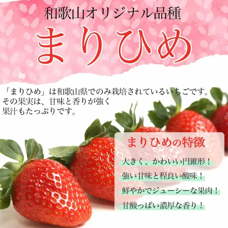 ［先行予約］いちご（まりひめ）　1パック(11粒入り）×4パック　ゆりかーご包装  ［2027年3月中旬から4月中旬にお届け予定］【tagfam004】