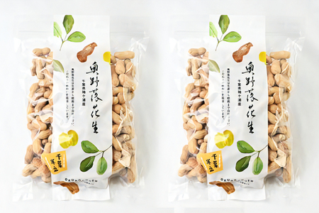 奥野農園 殻付き煎り落花生 (高級品種「千葉半立」) 計1kg [500g×2袋] [0575]