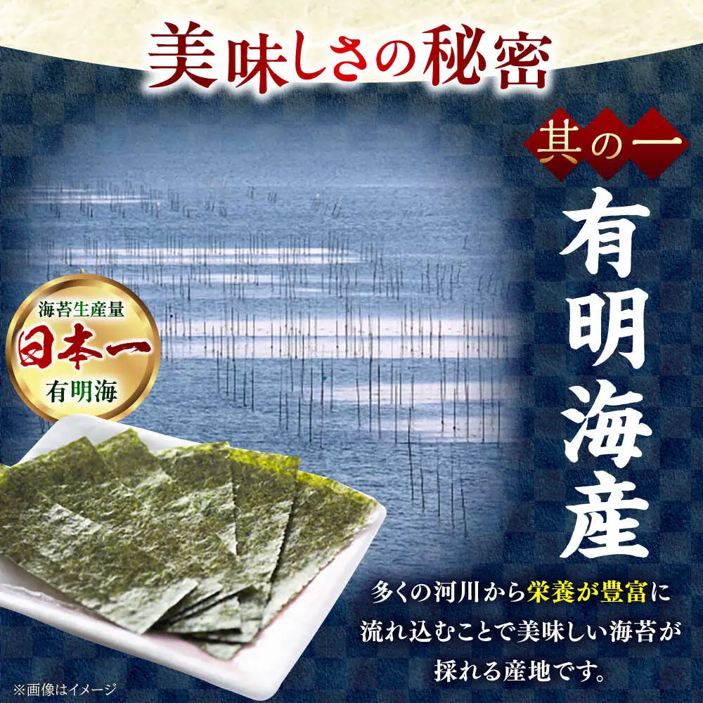 【全12回定期便】添加物不使用 味付け海苔 計500枚 [BGAA039]