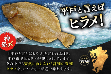 フライ 神経〆平戸ひらめ 200g 2パック 合計 400g