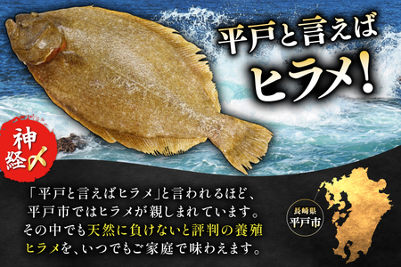 刺身 神経〆平戸ひらめ 80g 2パック 合計 160g