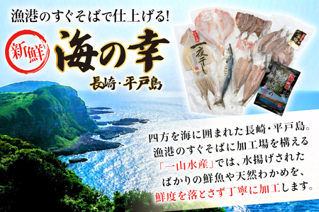 干物 平戸 豪華 6種 詰合せ ＆ 天然 塩わかめ セット 11枚 3回 定期便 総計 33枚 食べ比べ