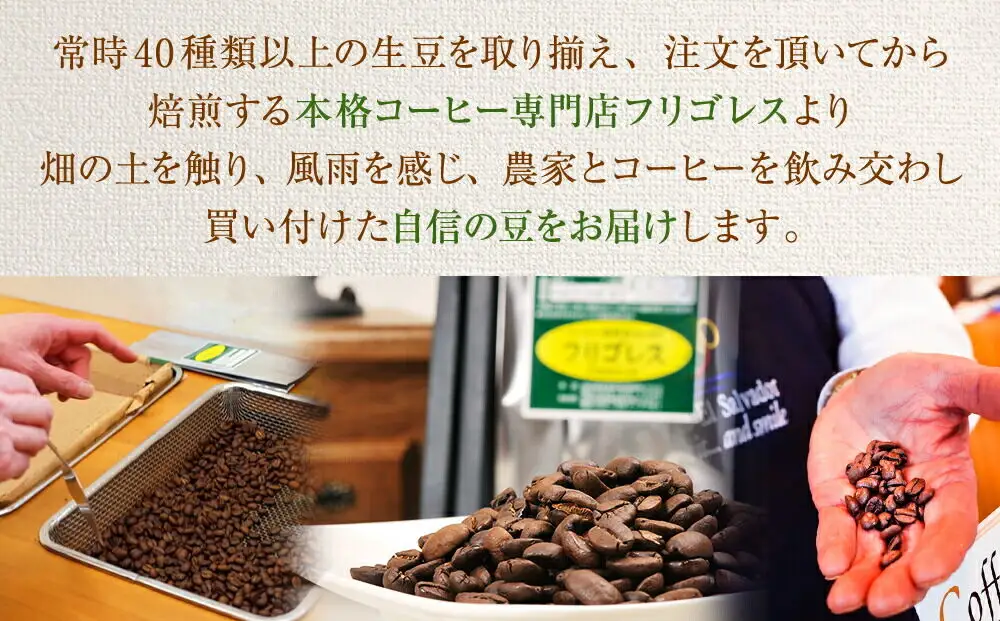 【定期便6ヶ月】フリゴレス 世界の豆の旅 プレミアム 3種 コーヒーセット (挽粉) 珈琲 詰め合わせ