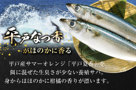 鯖 刺身 平戸なつ香 サバ 約500g 2尾