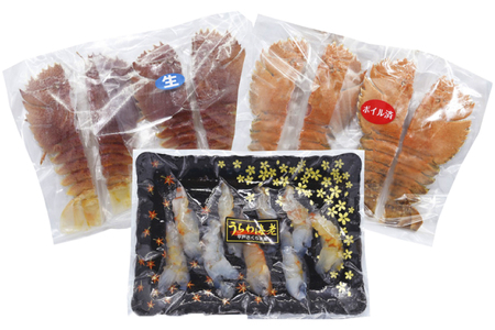 エビ 海鮮 刺身 ウチワエビ 美味三彩 3種 2～3人前