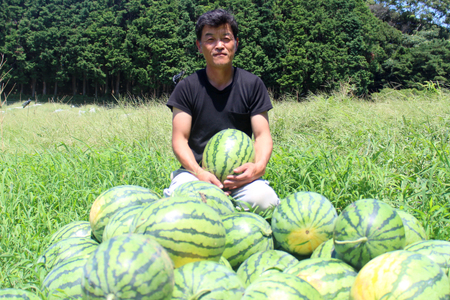 スイカ 大玉 平戸産スイカ 1玉 Lサイズ 6kg ～ 7kg