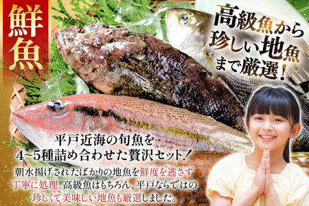 鮮魚 詰め合わせ 旬の獲れたて鮮魚 4種 ～ 5種