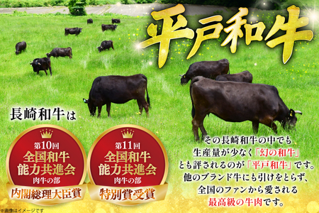 ハンバーグ 牛肉 10月発送 A5ランク 平戸牛 和牛 ハンバーグ 200g 4個