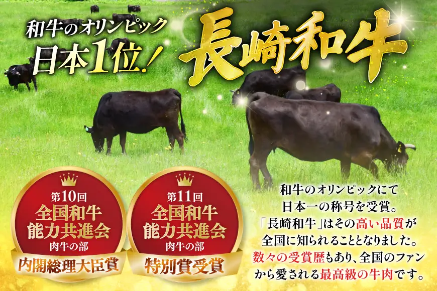 牛肉 長崎和牛 しゃぶしゃぶ用 約250g × 4パック 計約 1kg