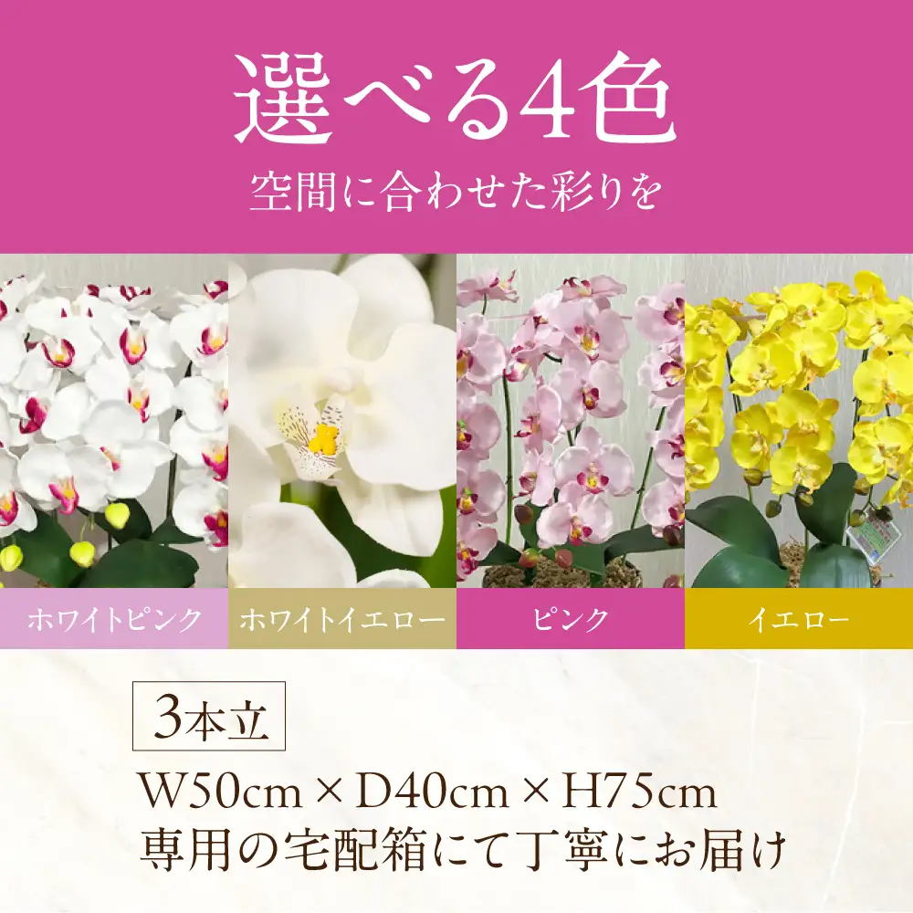 光触媒造花胡蝶蘭 3本立（ピンク)｜胡蝶蘭