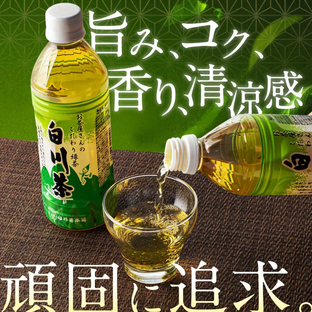 【3回定期便】緑茶ペットボトル 500ml×24本入 / 白川園本舗[AWAT006]お茶緑茶